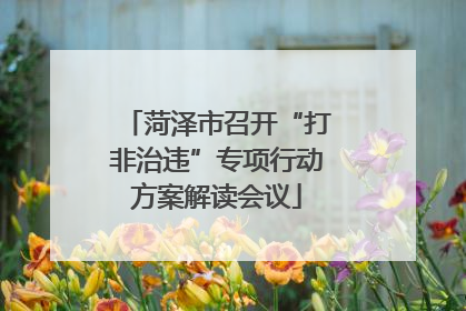菏泽市召开“打非治违”专项行动方案解读会议